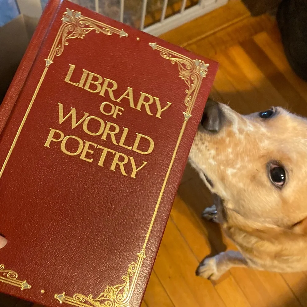 Library of World Poetry Hardcover Coffee Table Book - Unbranded - Red